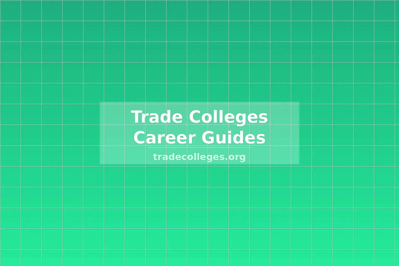 Construction site with workers and cranes showing the scale of infrastructure building across America